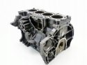 BLOK SILNIKA FYJA 1.6 16V FOCUS 1 2 C-MAX PUMA FIESTA FUSION MAZDA 2