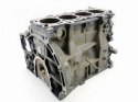 BLOK SILNIKA FYJA 1.6 16V FOCUS 1 2 C-MAX PUMA FIESTA FUSION MAZDA 2