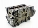 BLOK SILNIKA FYJA 1.6 16V FOCUS 1 2 C-MAX PUMA FIESTA FUSION MAZDA 2