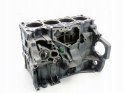 BLOK SILNIKA FYJA 1.6 16V FOCUS 1 2 C-MAX PUMA FIESTA FUSION MAZDA 2