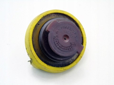KOREK WLEWU OLEJU 1.6 16V MEGANE II SCENIC 2 LAGUNA 2 CLIO 2 KANGOO 110771 KOREK WLEWU OLEJU 1.6 16V MEGANE II SCENIC 2 LAGUNA 2 CLIO 2 KANGOO 110771
