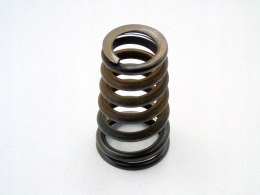 SPRĘŻYNA ZAWORU GŁOWICY 5.5 V8 AMG MERCEDES KLASA S W220 S55 C215 CL55
