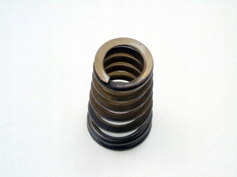 SPRĘŻYNA ZAWORU GŁOWICY 5.5 V8 AMG MERCEDES KLASA S W220 S55 C215 CL55 SPRĘŻYNA ZAWORU GŁOWICY 5.5 V8 AMG MERCEDES KLASA S W220 S55 C215 CL55