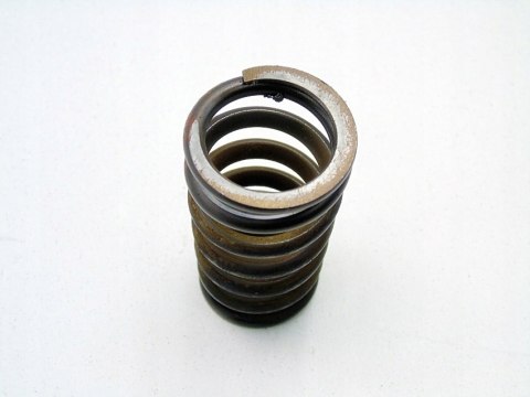 SPRĘŻYNA ZAWORU GŁOWICY 5.5 V8 AMG MERCEDES KLASA S W220 S55 C215 CL55 SPRĘŻYNA ZAWORU GŁOWICY 5.5 V8 AMG MERCEDES KLASA S W220 S55 C215 CL55
