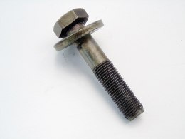 ŚRUBA KOŁA WAŁU 1.6 16V 307 C4 207 XSARA C3 206 1007 405 308 XSARA PARTNER
