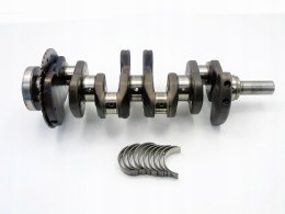 WAŁ KORBOWY 4M5 1.6 16V PRIMERA P11 P12 ALMERA N16 SUNNY 4 AVENIR BLUEBIRD