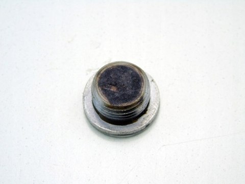 KOREK ZAŚLEPKA OBUDOWY ROZRZADU 1.6 1.8 2.0 i BMW 3 E46 318 CI TI N42 KOREK ZAŚLEPKA OBUDOWY ROZRZADU 1.6 1.8 2.0 i BMW 3 E46 318 CI TI N42