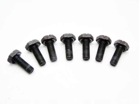 ŚRUBY KOŁA ZAMACHOWEGO 1.4 16V CLIO MEGANE THALIA SCENIC