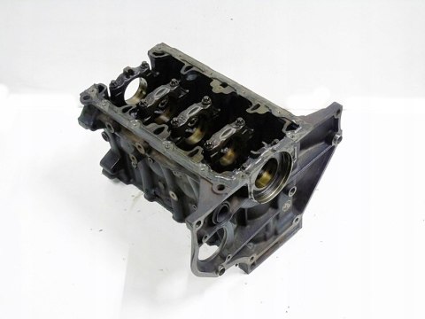 BLOK 1.8 16V VECTRA C ZAFIRA ASTRA H SIGNUM INSIGNIA 55559703 Z18XER ORLAND BLOK 1.8 16V VECTRA C ZAFIRA ASTRA H SIGNUM INSIGNIA 55559703 Z18XER ORLAND