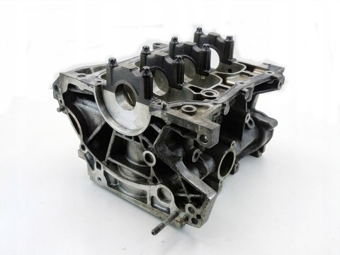 BLOK 110116559R 0.9 900 1.0 TCE CLIO 4 CAPTUR SANDERO 2 LOGAN TWINGO MICRA BLOK 110116559R 0.9 900 1.0 TCE CLIO 4 CAPTUR SANDERO 2 LOGAN TWINGO MICRA