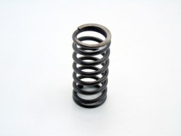 SPRĘŻYNA ZAWORU GŁOWICY 2.0 D BMW E46 E39 320 520 318 D 204D1 M47D20