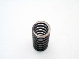 SPRĘŻYNA ZAWORU GŁOWICY 2.0 D BMW E46 E39 320 520 318 D 204D1 M47D20