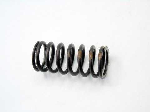 SPRĘŻYNA ZAWORU GŁOWICY 2.0 D BMW E46 E39 320 520 318 D 204D1 M47D20 SPRĘŻYNA ZAWORU GŁOWICY 2.0 D BMW E46 E39 320 520 318 D 204D1 M47D20