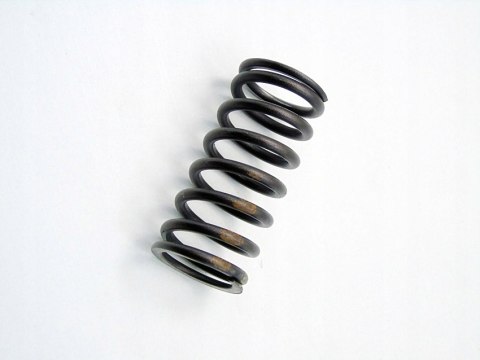 SPRĘŻYNA ZAWORU GŁOWICY 2.0 D BMW E46 E39 320 520 318 D 204D1 M47D20 SPRĘŻYNA ZAWORU GŁOWICY 2.0 D BMW E46 E39 320 520 318 D 204D1 M47D20