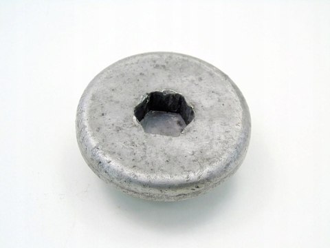 ŚRUBA NAPINACZ PASKA NAPĘDOWEGO 2.0 D BMW E46 E39 320 520 318 D 204D1 ŚRUBA NAPINACZ PASKA NAPĘDOWEGO 2.0 D BMW E46 E39 320 520 318 D 204D1