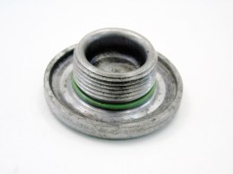 ŚRUBA NAPINACZ PASKA NAPĘDOWEGO 2.0 D BMW E46 E39 320 520 318 D 204D1