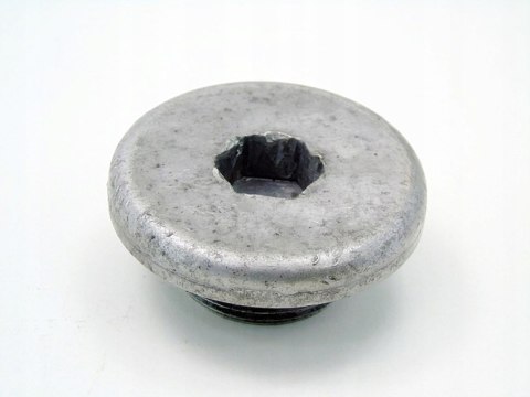 ŚRUBA NAPINACZ PASKA NAPĘDOWEGO 2.0 D BMW E46 E39 320 520 318 D 204D1 ŚRUBA NAPINACZ PASKA NAPĘDOWEGO 2.0 D BMW E46 E39 320 520 318 D 204D1