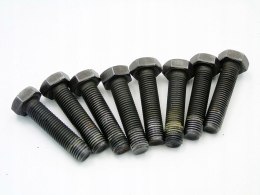 ŚRUBY KOŁA DWUMASOWEGO 2.0 D BMW E46 E39 320 520 318 D