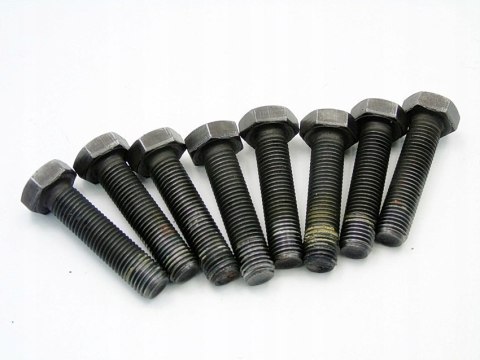 ŚRUBY KOŁA DWUMASOWEGO 2.0 D BMW E46 E39 320 520 318 D ŚRUBY KOŁA DWUMASOWEGO 2.0 D BMW E46 E39 320 520 318 D