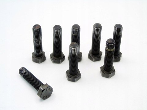 ŚRUBY KOŁA DWUMASOWEGO 2.0 D BMW E46 E39 320 520 318 D ŚRUBY KOŁA DWUMASOWEGO 2.0 D BMW E46 E39 320 520 318 D