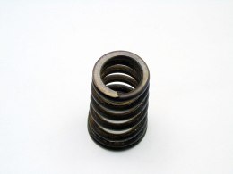 SPRĘŻYNA ZAWORU GŁOWICY 2.5 I BMW M54 325 525 E46 E39 E60 E61 E83 E85 X3 Z4