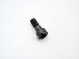ŚRUBA ROZRZĄDU 2.0 2.5 2.8 I BMW M54 325 525 E46 E39 E60 E61 E83 E85 X3 Z4