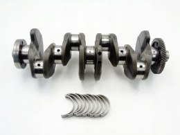 WAŁ KORBOWY 38AA 2.0 TDI A3 Q3 A4 A6 A5 GOLF PASSAT EOS TIGUAN SHARAN Q5