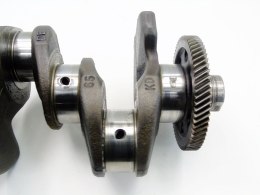 WAŁ KORBOWY 38AA 2.0 TDI A3 Q3 A4 A6 A5 GOLF PASSAT EOS TIGUAN SHARAN Q5