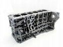 BLOK 3.0 D BMW N57D30B X4 X5 X6 F07 F10 F30 F80 F31 F01 F34 F11 F06 F04 F03
