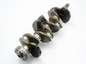 WAŁ KORBOWY T46AA 98MM6 1.6 TI VCT FORD FOCUS 2 3 C-MAX VOLVO V50 S40 C30