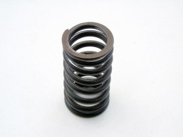 SPRĘŻYNA ZAWORU GŁOWICY 1.4 16V ROVER 214 414 MG ZR 25 45 POLONEZ