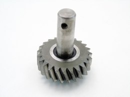 WAŁEK KOŁO ZĘBATE SKRZYNI BIEGÓW 2.0 D BMW E46 E90 M47D20