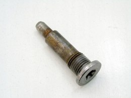 ŚRUBA ROZRZĄDU 1.4 1.6 VTI 207 208 C3 C4 308 C5 MINI ONE R56 CLUBMAN R55