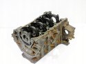 BLOK SILNIKA 2.0 D ECOBLUE FORD RANGER EVEREST RAPTOR CUSTOM RF BK2Q6015BB
