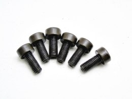 ŚRUBY KOŁA DWUMASOWEGO 1.6 HDI C4 C5 207 307 407 308 206 1007 C3 PARTNER