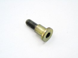 Śruba rozrządu 2.0 24v Chevrolet Epica Daewoo Tosca