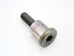 Śruba rozrządu 4.4 N62 BMW 5 6 7 X5 E60 E61 E63 E64 E65 E66 ALPINA