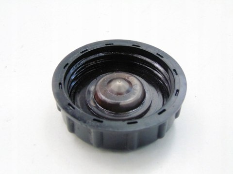 Korek wspomagania 1.6 16V Duster Logan Sandero Oroch Thalia Clio 3 Megane