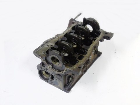 Blok silnika 1.6 16V Duster Logan Sandero Oroch Thalia Clio 3 Megane 3