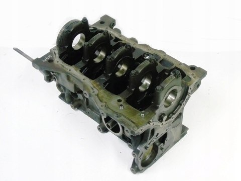 Blok silnika 1.6 16V Duster Logan Sandero Oroch Thalia Clio 3 Megane 3