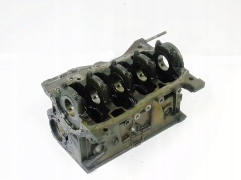 Blok silnika 1.6 16V Duster Logan Sandero Oroch Thalia Clio 3 Megane 3