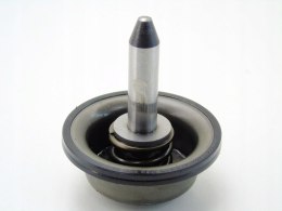 Popychacz tłoczek skrzyni biegów 20TS01 407 C5 C4 307 206 306 Xsara Jumpy