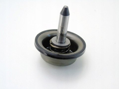 Popychacz tłoczek skrzyni biegów 20TS01 407 C5 C4 307 206 306 Xsara Jumpy