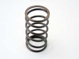 Sprężyna skrzyni biegów 20TS01 407 C5 C4 307 206 306 Xsara Jumpy