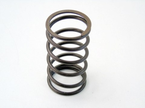 Sprężyna skrzyni biegów 20TS01 407 C5 C4 307 206 306 Xsara Jumpy