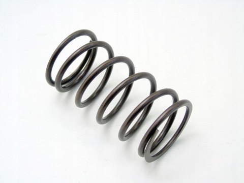 Sprężyna skrzyni biegów 20TS01 407 C5 C4 307 206 306 Xsara Jumpy