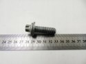 Śruba koła wałka rozrządu 2.0 B 407 C5 C4 307 206 306 Xsara Jumpy 607 C8