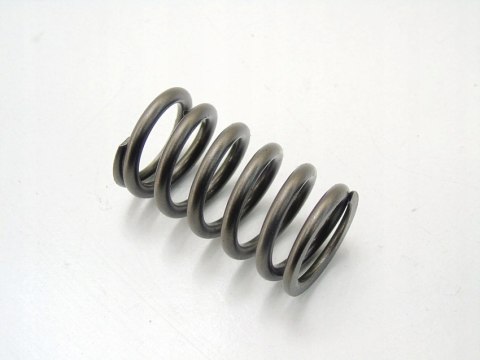 Sprężyna zaworu głowicy 2.0 Cdti Insignia B A Zafira C Cascada Antara A