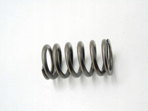 Sprężyna zaworu głowicy 2.0 Cdti Insignia B A Zafira C Cascada Antara A