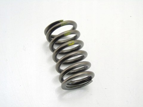 Sprężyna zaworu głowicy 2.0 Cdti Insignia B A Zafira C Cascada Antara A